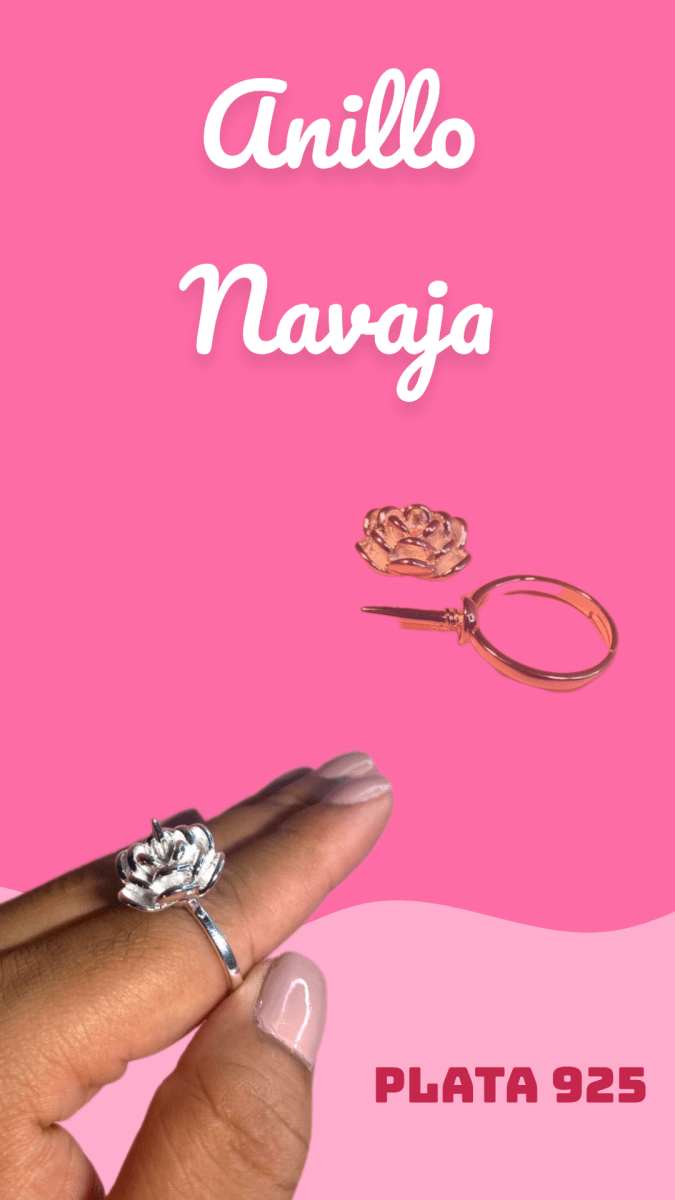Anillo de defensa